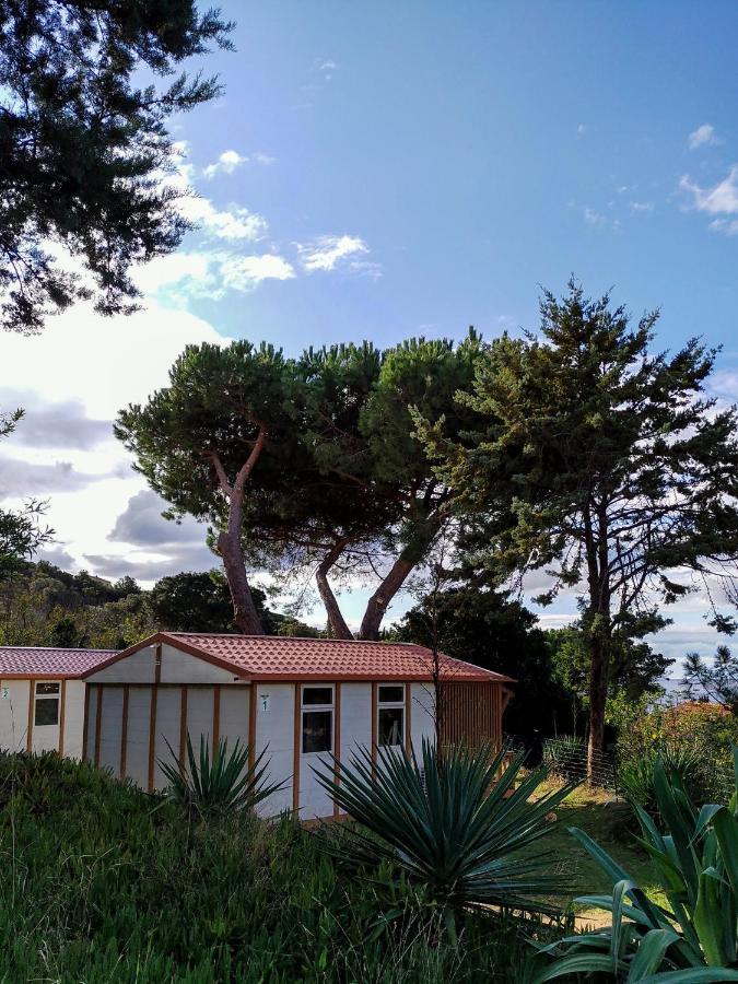 Camping Tikiti Propriano  Eksteriør bilde